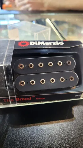 Dimarzio the breed