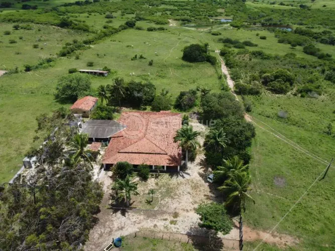 Fazenda a venda em Monte Alegre- aceita casa em condominio no Parque das nacoes