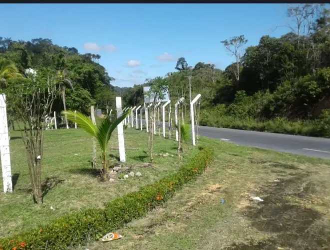 Terreno na pista da AM-010, Km 51 com 1.000.000m2. Menor Preço. Documentado