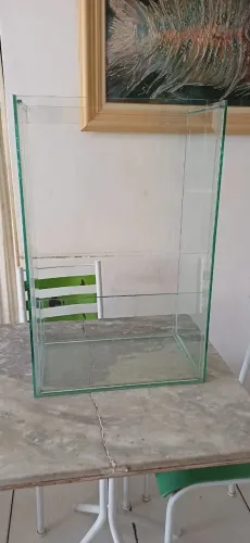 Terrário para Suculentas