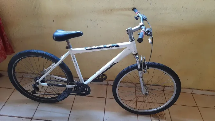 Aro26 adulto