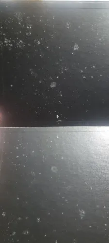 Guerra dos Tronos - Expansão Mãe de Dragões