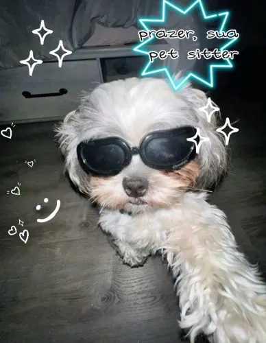 Pet sitter