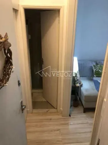 Apartamento : / Residencial / Botafogo