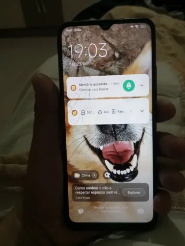 Celular