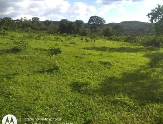 Oportunidade! Vende-se uma excelente fazenda de 50 alqueires