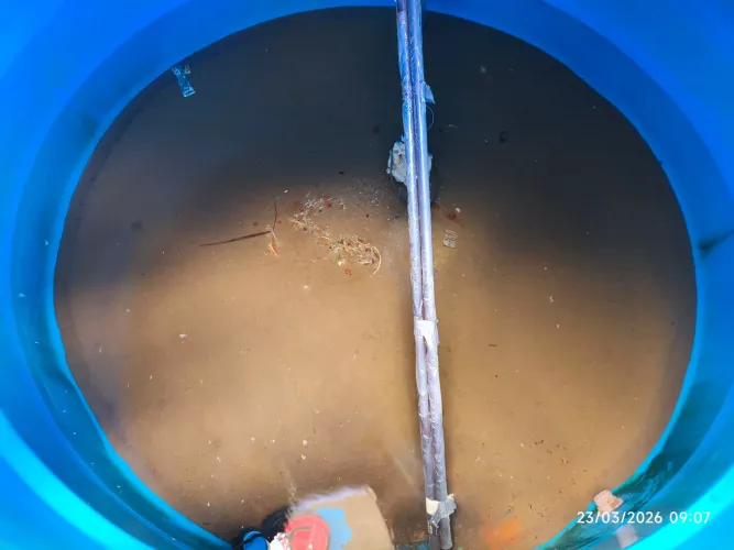Profissional de limpeza de caixa de água 