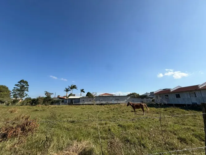 Terreno à venda em Garopaba-SC, bairro Campo Duna, 456m² de área. Venha conhecer!