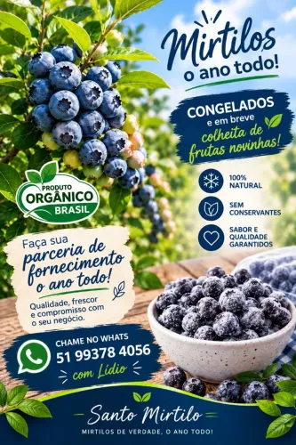 Vendo mirtilos orgânicos