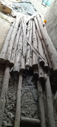 Pontaletes