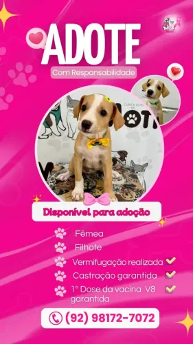 Doação 
