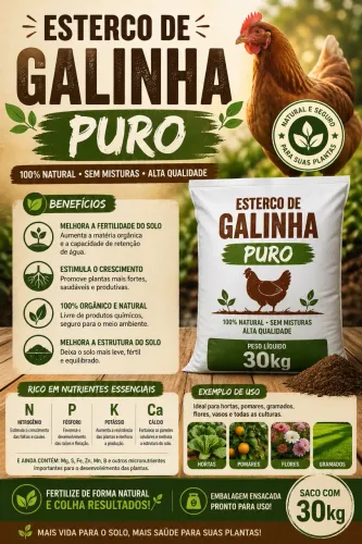 Esterco de galinha puro
