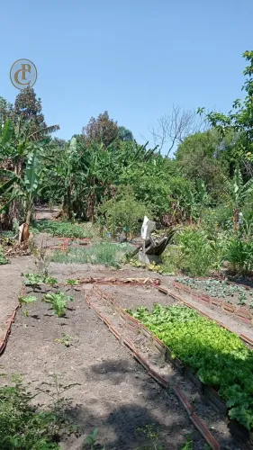 Terreno Comercial 2400m² Nova Jacareí SP
