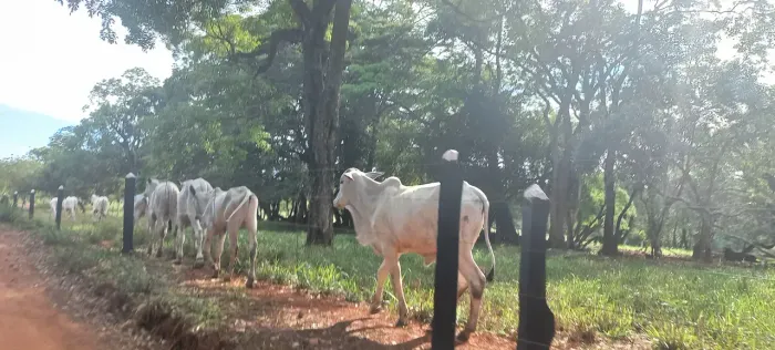 FAZENDINHA com casa e lagoa própria, R$135.000,00 mais parcelas
