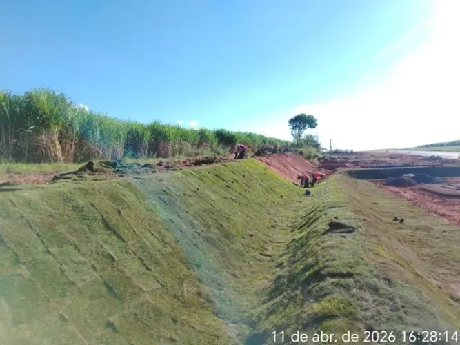 Grama Batatais Excelente Para Grandes Terrenos 