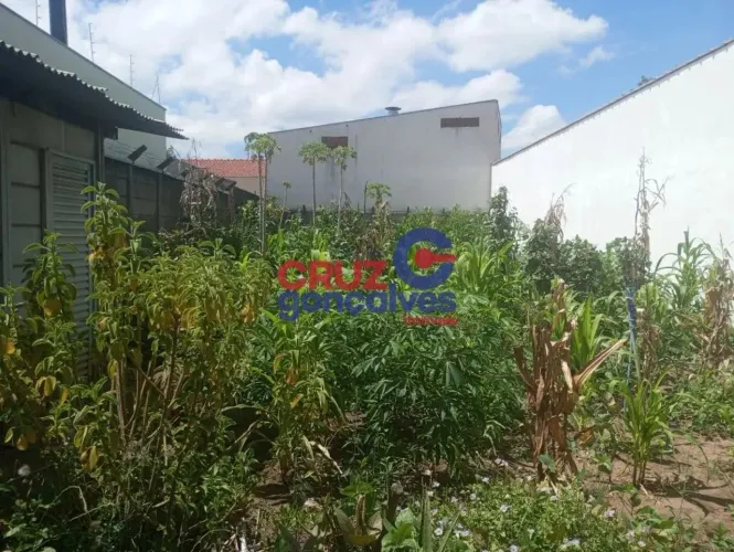 Terreno à venda no bairro Jardim Primavera, Rio Claro - Excelente oportunidade!