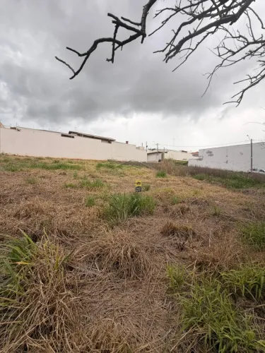 Terreno Área em Jaú