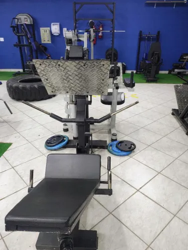 Leg press articulado