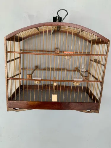 5 gaiola por 100