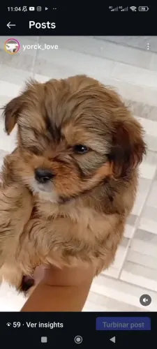 Lindos bebês esperando uma mamãe