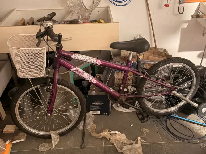 bicicleta 