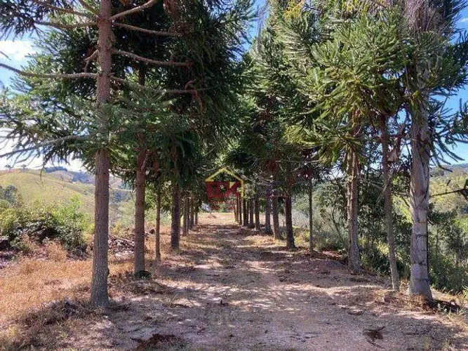 Sítio com 1 dormitório à venda, 198000 m² por R$ 5.645.000,00 - Pinhal Novo - Lorena/SP