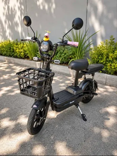 Bicicleta elétrica