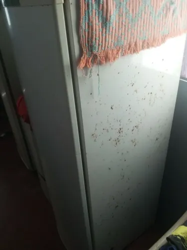 Quebra galho, congelador potente
