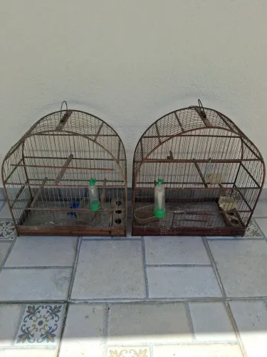 2 gaiolas de madeira