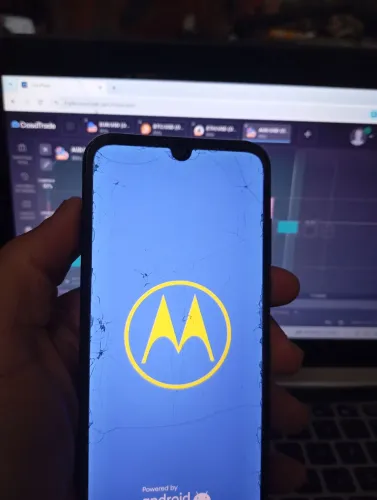 Celular