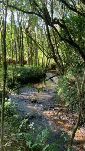 Terreno em Agudos do Sul/PR.
