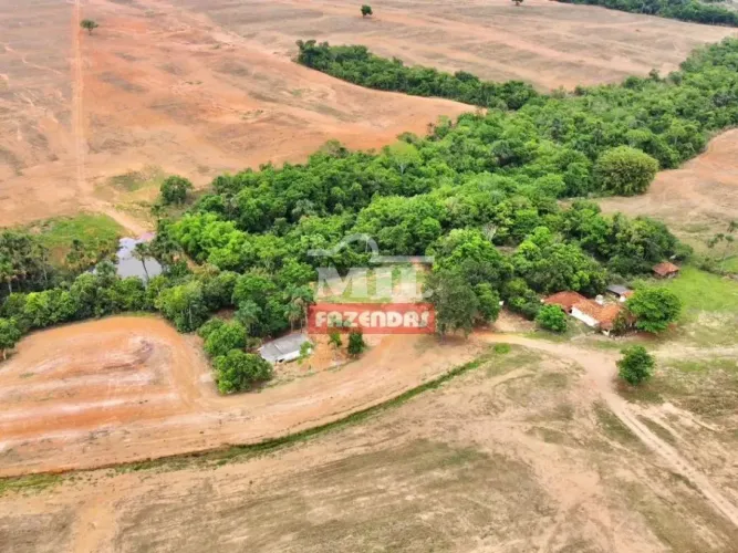 Fazenda 115,08 Alqueires (557 Hectares) Cristalina - GO