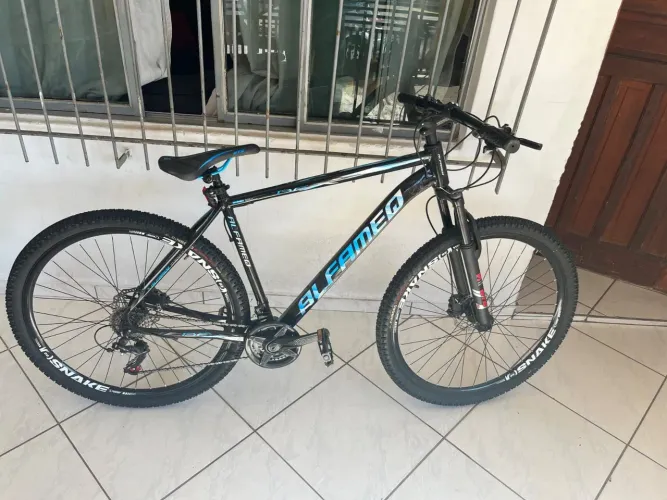 Bicicleta 