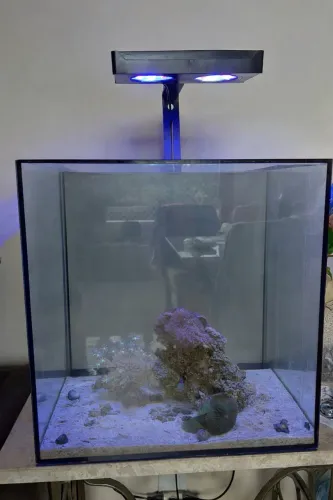 Aquário 64 litros 
