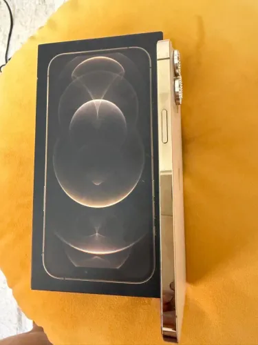 iPhone 12 Pro Max 