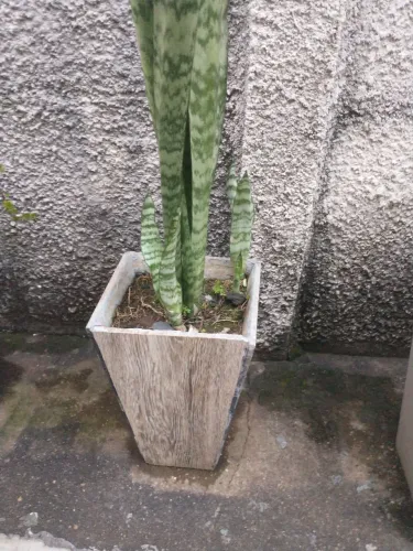 Desapego vaso de cerâmica com planta.