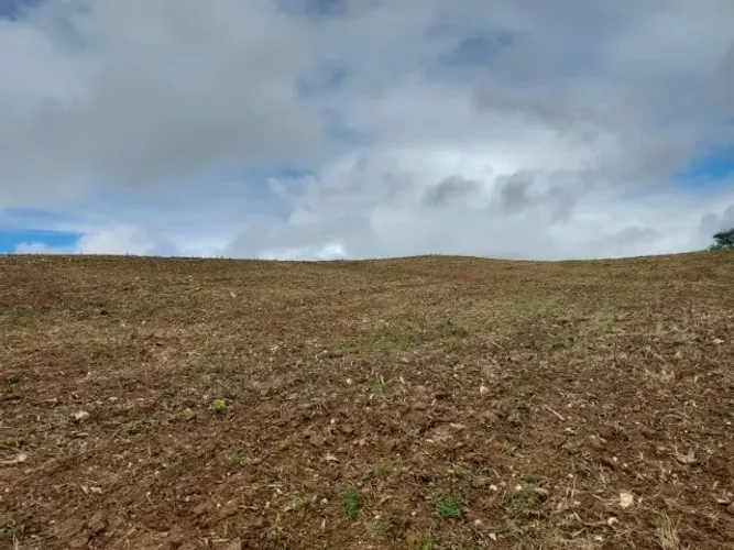 FAZENDA 500 TAREFAS NO MUNICÍPIO DE PEDRA MOLE/SE. Excelente investimento e localização.