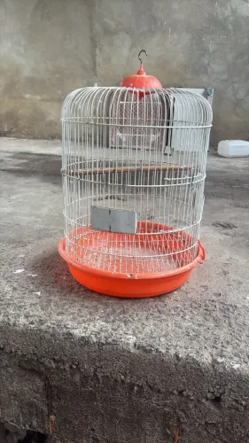 Viveiro de passarinho