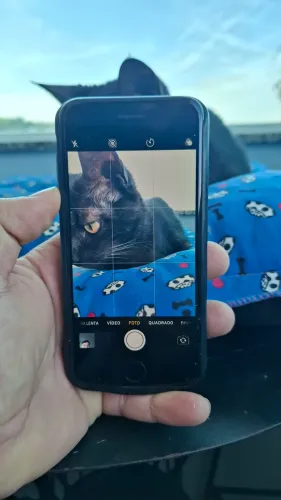 Iphone 8 256gb