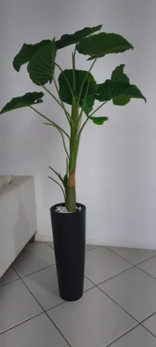 Flores com vaso 