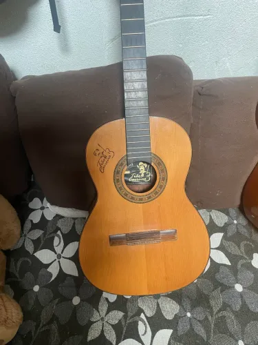 Viola Tião Carreiro ativa