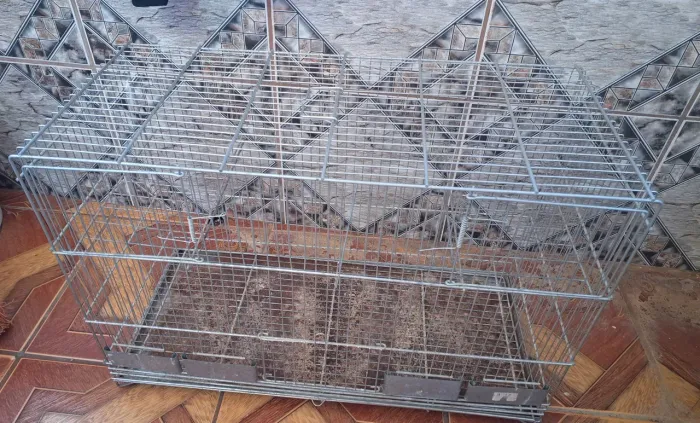 Vendo gaiola estilo criadeira