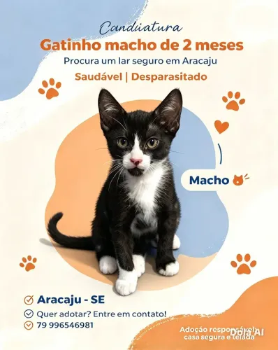 Doação