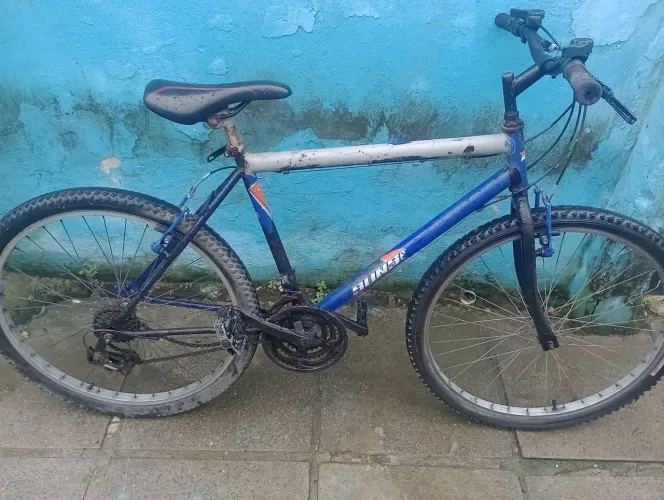 Bicicleta