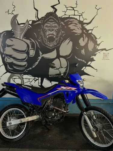 Tornado 250