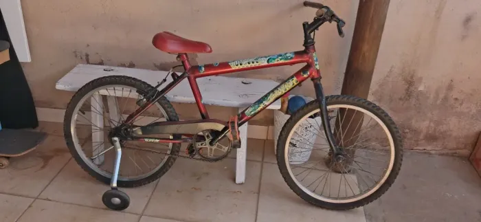 Bike aro20