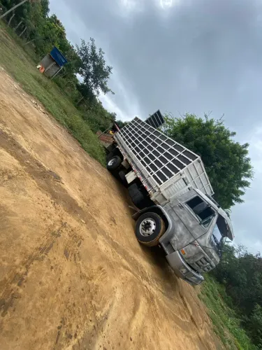 NOVILHAS VACAS GIR BEZERRO SINDI BOIS CABRAS CAVALO TRANSPORTE DE ANIMAIS PRA TODA REGIÃO 
