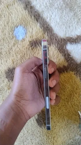 iPhone 12 pro max