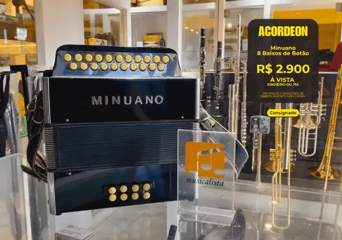 Acordeon 8 Baixos de Botão Minuano - Seminova