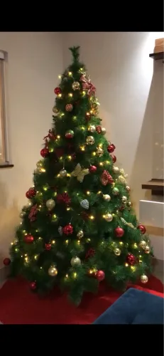 Árvore de Natal